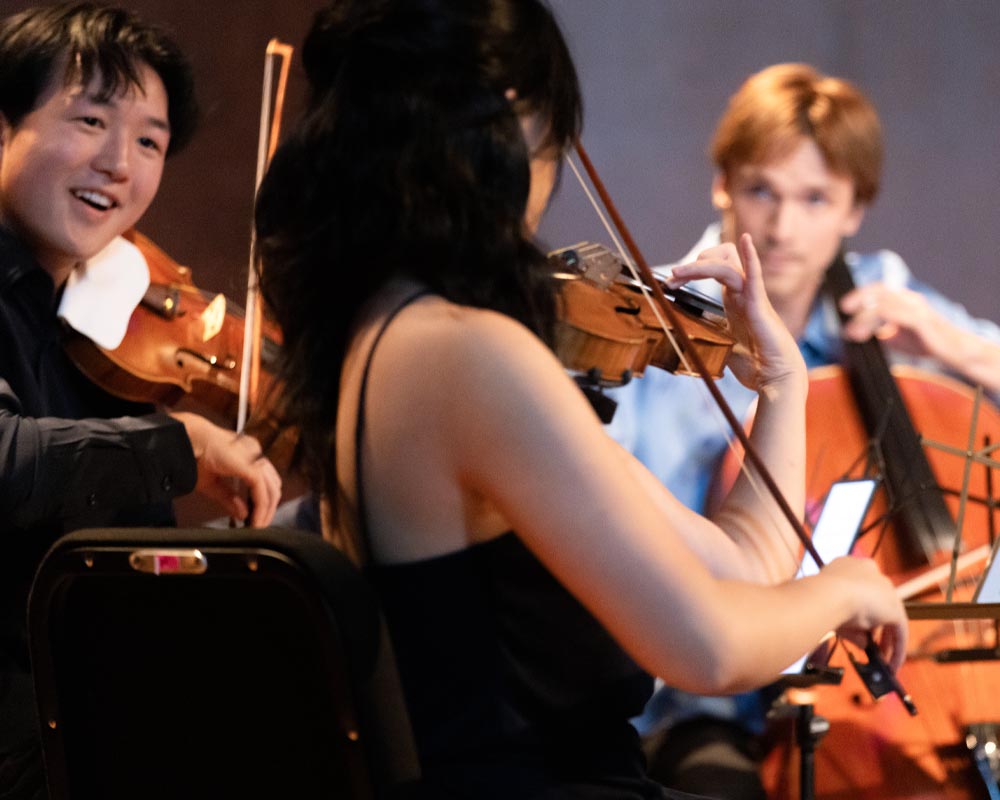 learn more about chamber music session