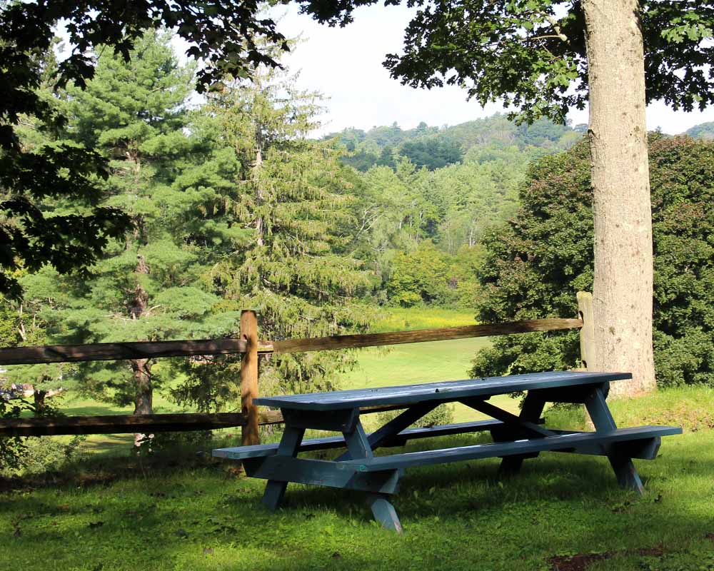 Learn more about new music workshop